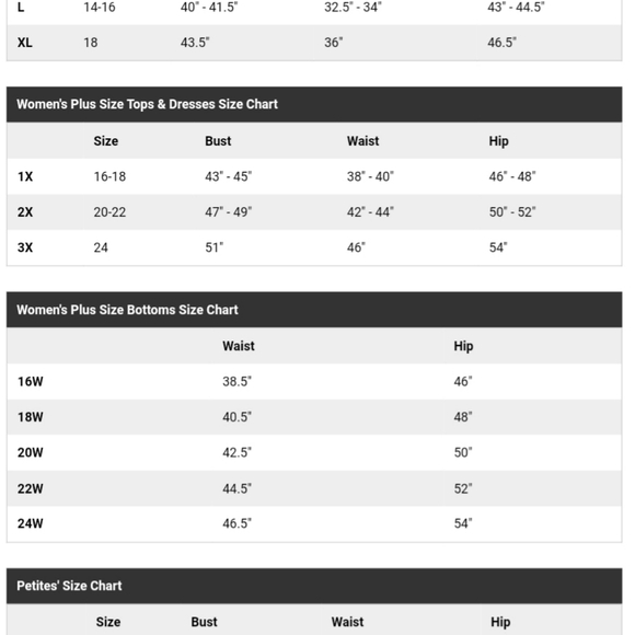 Briggs women's pull-on stretch pant size 16W. Charcoal gray - Picture 8 of 8